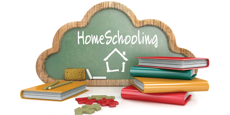 Community Homeschooling: A New Frontier in Education